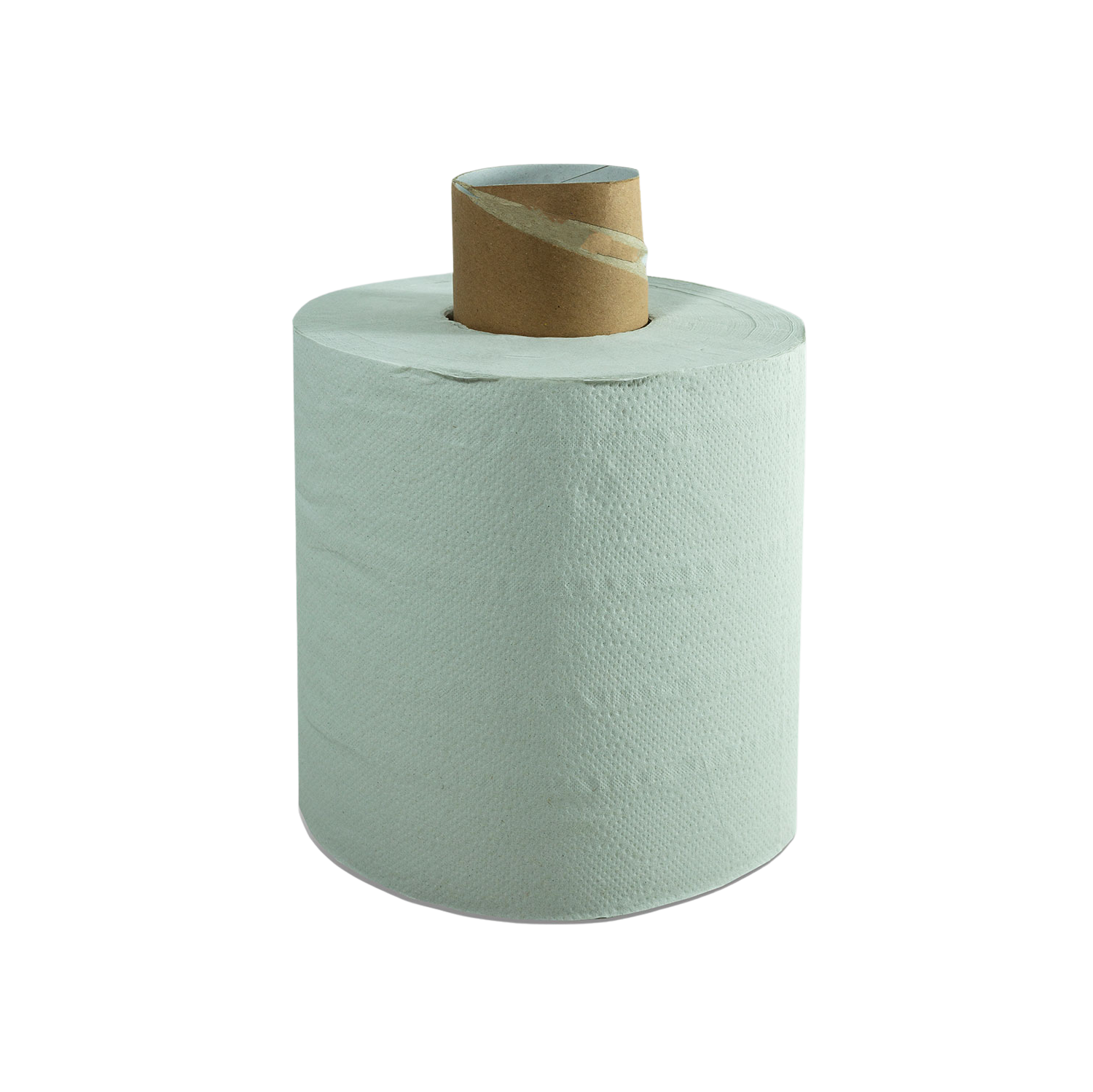 Ecosmart Poetsrol Midi Wit 300 m — 6st