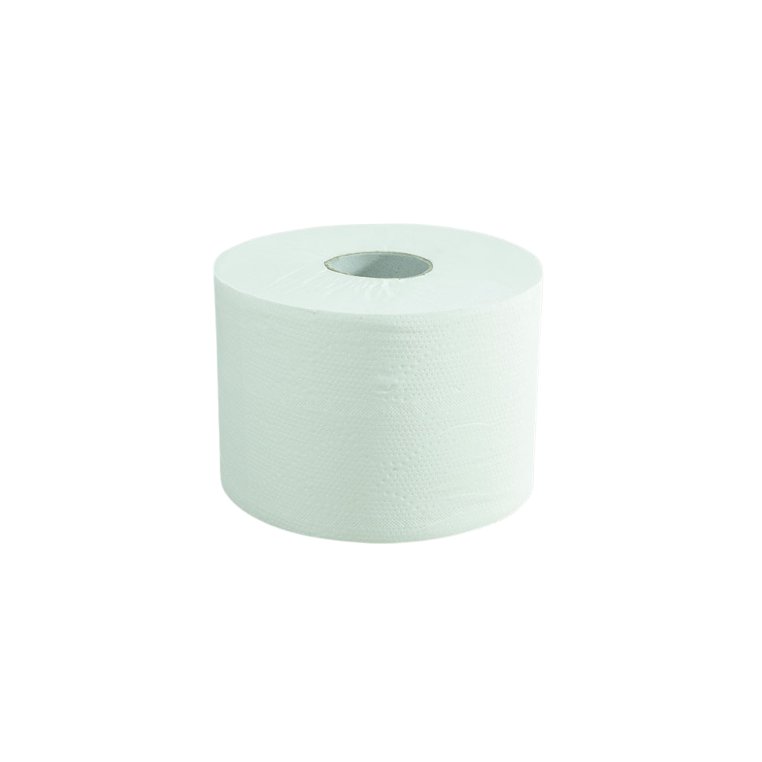 Ecosmart Toiletrol Compact Wit 100 m — 24st